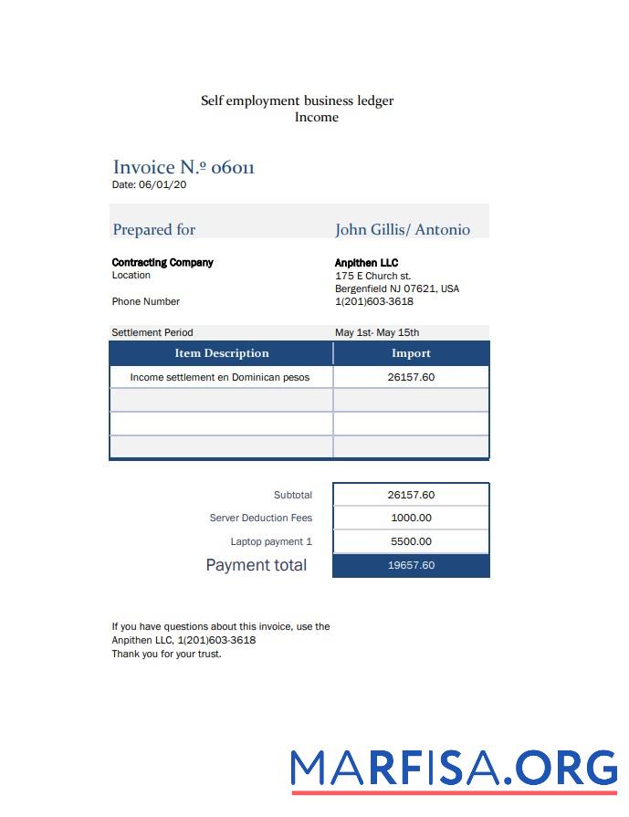 Realistic Self employment pay stub example